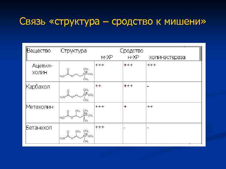 Связь «структура – сродство к мишени» 