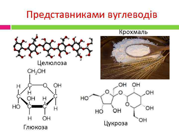 Представниками вуглеводів Крохмаль Целюлоза Глюкоза Цукроза 