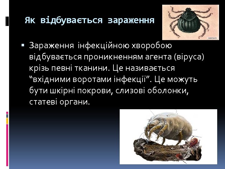 Як відбувається зараження Зараження інфекційною хворобою відбувається проникненням агента (віруса) крізь певні тканини. Це