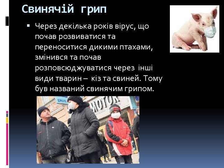 Свинячій грип Через декілька років вірус, що почав розвиватися та переноситися дикими птахами, змінився