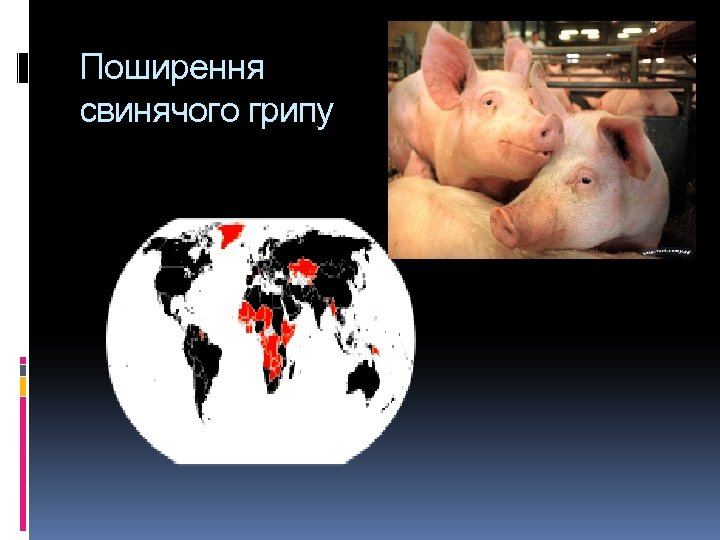 Поширення свинячого грипу 