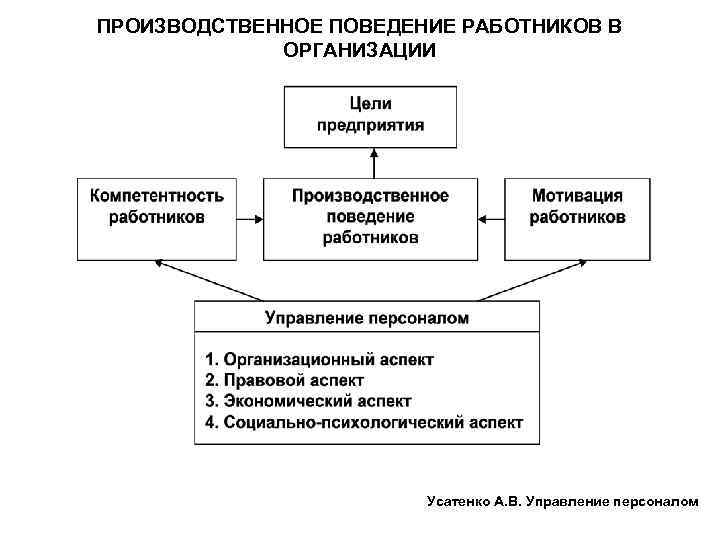 ПРОИЗВОДСТВЕННОЕ ПОВЕДЕНИЕ РАБОТНИКОВ В ОРГАНИЗАЦИИ Усатенко А. В. Управление персоналом 