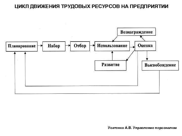 ЦИКЛ ДВИЖЕНИЯ ТРУДОВЫХ РЕСУРСОВ НА ПРЕДПРИЯТИИ Усатенко А. В. Управление персоналом 