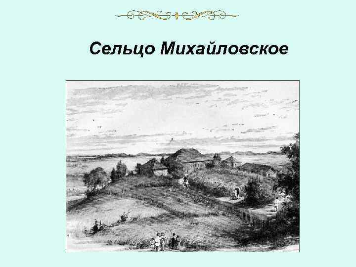 Сельцо Михайловское 