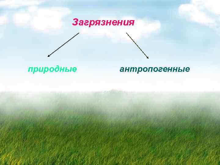 Загрязнения природные антропогенные 