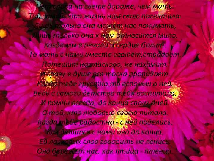 Нет слова на свете дороже, чем мать. Той самой, что жизнь нам свою посвятила.
