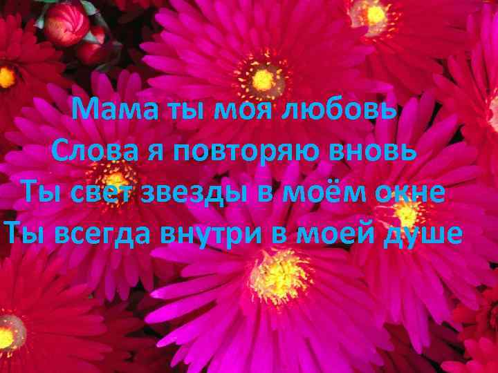 Мама ты моя любовь Слова я повторяю вновь Ты свет звезды в моём окне