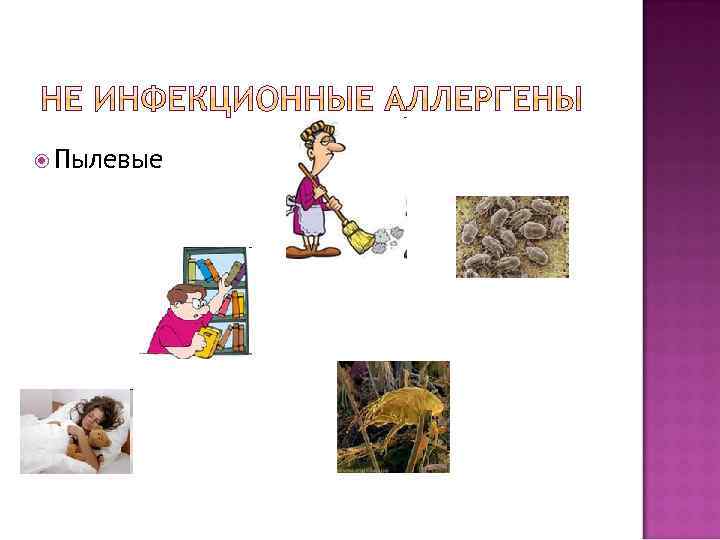  Пылевые 