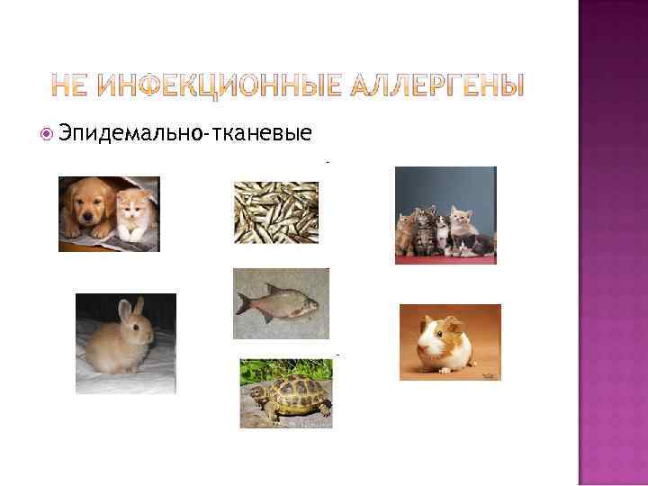  Эпидемально-тканевые 