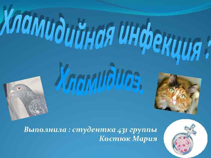 Выполнила : студентка 431 группы Костюк Мария 