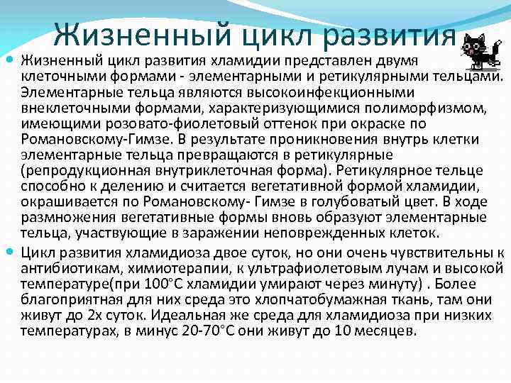 Жизненный цикл развития хламидии представлен двумя клеточными формами - элементарными и ретикулярными тельцами. Элементарные