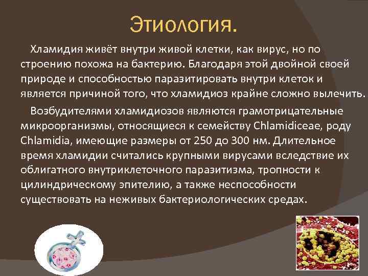 Этиология. Хламидия живёт внутри живой клетки, как вирус, но по строению похожа на бактерию.