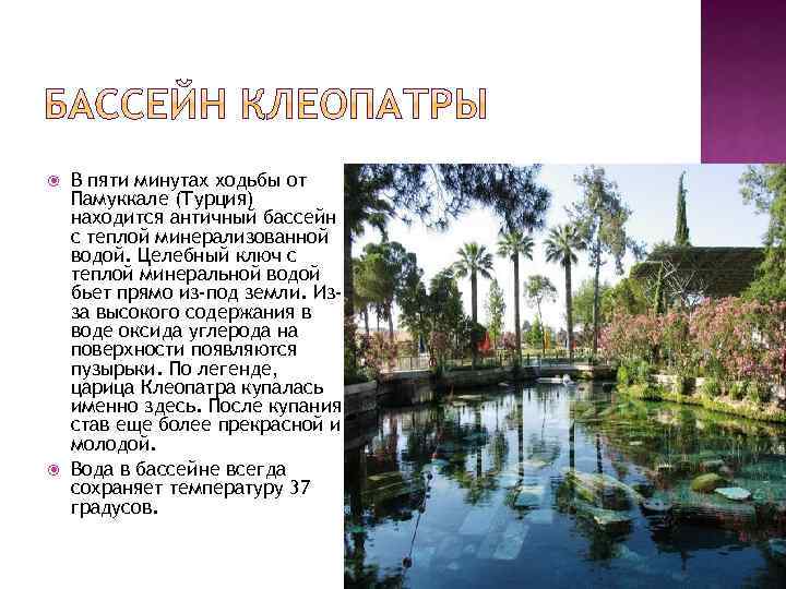  В пяти минутах ходьбы от Памуккале (Турция) находится античный бассейн с теплой минерализованной