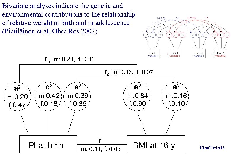 Bivariate analyses indicate the genetic and environmental contributions to the relationship of relative weight