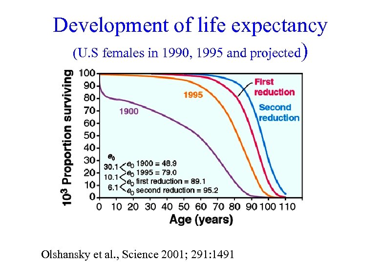 Development of life expectancy (U. S females in 1990, 1995 and projected) Olshansky et