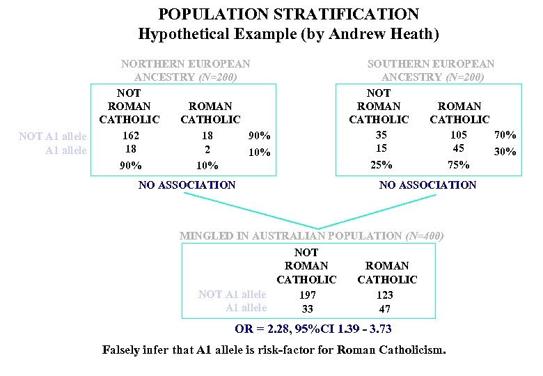 POPULATION STRATIFICATION Hypothetical Example (by Andrew Heath) NOT A 1 allele NORTHERN EUROPEAN ANCESTRY
