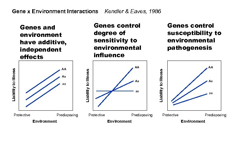 Gene x Environment Interactions Genes control degree of sensitivity to environmental influence aa Predisposing