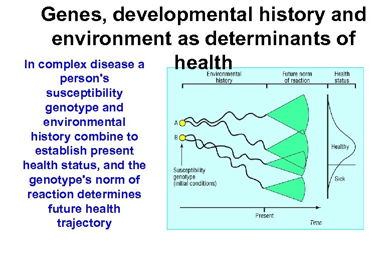 Genes, developmental history and environment as determinants of In complex disease a health person's