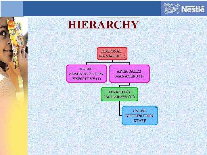 HIERARCHY REGIONAL MANAGER (1) SALES ADMINISTRATION EXECUTIVE (1) AREA SALES MANAGERS (3) TERRITORY INCHARGES