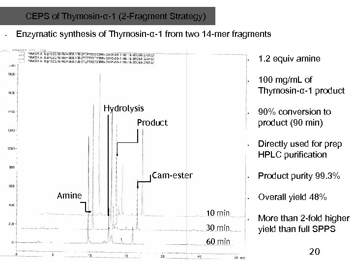 CEPS of Thymosin-α-1 (2 -Fragment Strategy) • Enzymatic synthesis of Thymosin-α-1 from two 14