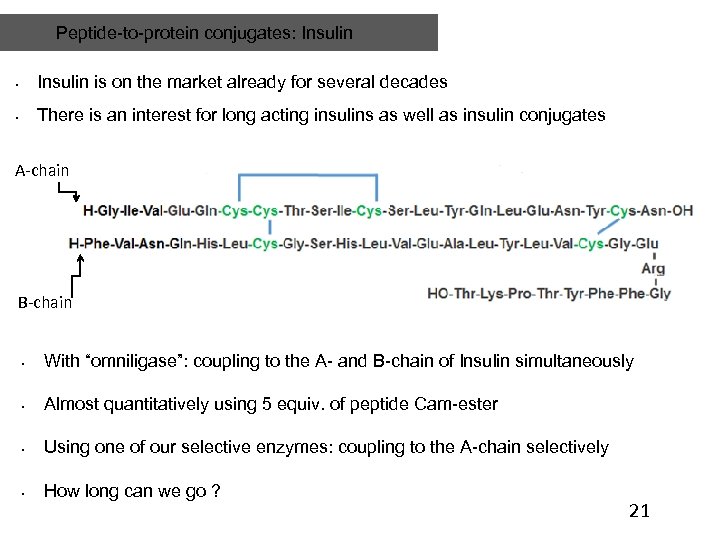 Peptide-to-protein conjugates: Insulin • Insulin is on the market already for several decades •