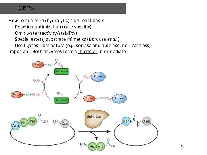 CEPS How to minimize (hydrolytic) side-reactions ? • Reaction optimization (case specific) • Omit