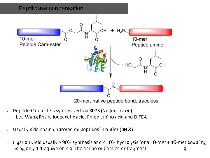 Peptiligase condensation • • • Peptide Cam-esters synthesized via SPPS (Nuijens et al. )