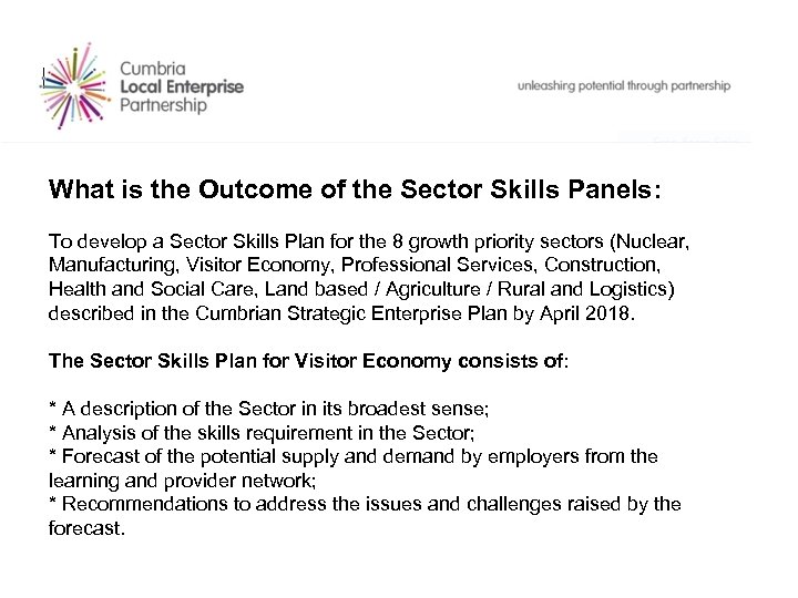 What is the Outcome of the Sector Skills Panels: To develop a Sector Skills