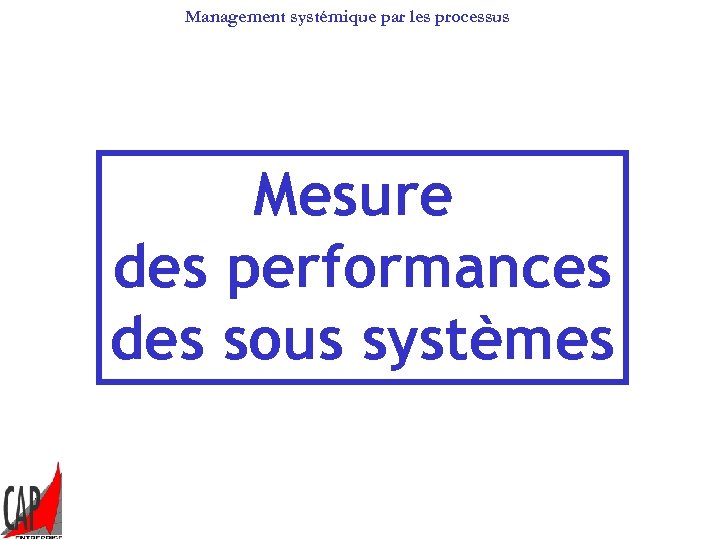 Management systémique par les processus Mesure des performances des sous systèmes 