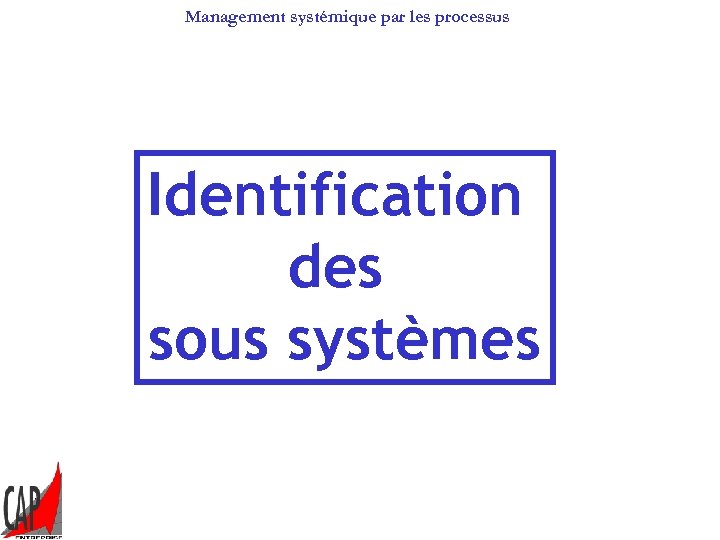 Management systémique par les processus Identification des sous systèmes 