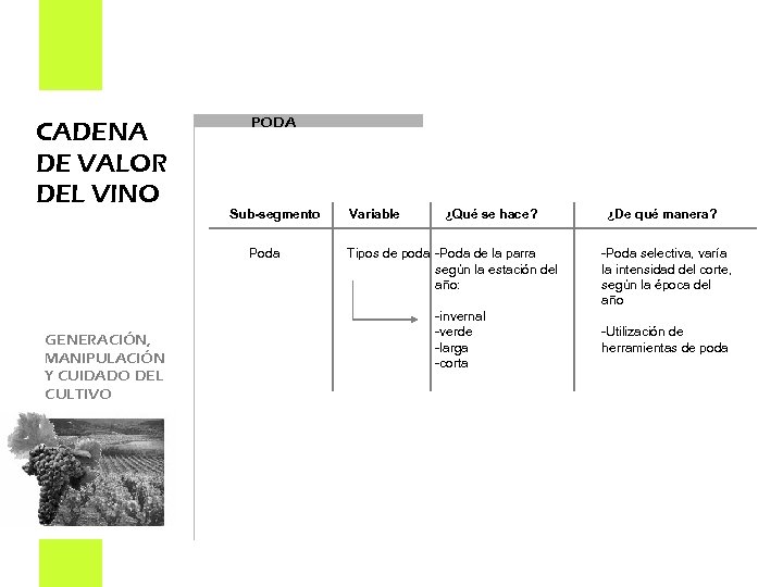 CADENA DE VALOR DEL VINO PODA Sub-segmento Poda GENERACIÓN, MANIPULACIÓN Y CUIDADO DEL CULTIVO