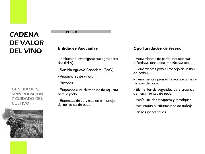 CADENA DE VALOR DEL VINO PODA Entidades Asociadas Oportunidades de diseño - Instituto de