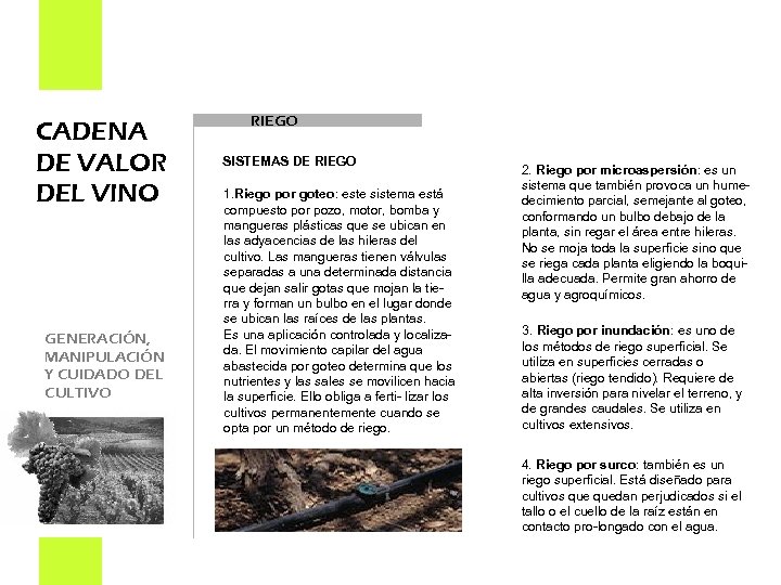 CADENA DE VALOR DEL VINO GENERACIÓN, MANIPULACIÓN Y CUIDADO DEL CULTIVO RIEGO SISTEMAS DE