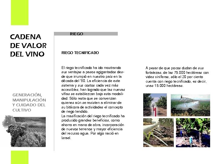 CADENA DE VALOR DEL VINO GENERACIÓN, MANIPULACIÓN Y CUIDADO DEL CULTIVO RIEGO TECNIFICADO El