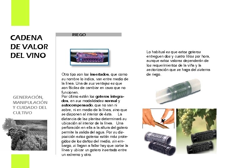 CADENA DE VALOR DEL VINO GENERACIÓN, MANIPULACIÓN Y CUIDADO DEL CULTIVO RIEGO Otro tipo