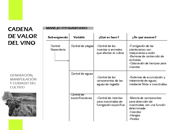 CADENA DE VALOR DEL VINO GENERACIÓN, MANIPULACIÓN Y CUIDADO DEL CULTIVO MANEJO FITOSANITARIO Sub-segmento