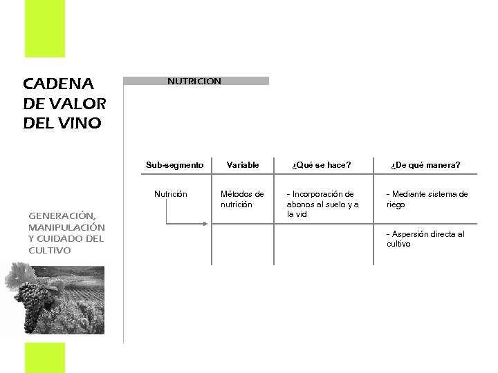 CADENA DE VALOR DEL VINO NUTRICION Sub-segmento Nutrición GENERACIÓN, MANIPULACIÓN Y CUIDADO DEL CULTIVO