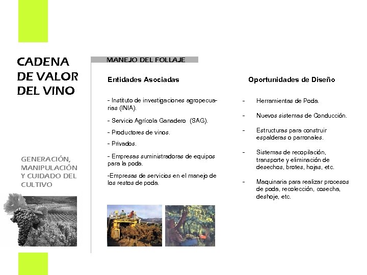 CADENA DE VALOR DEL VINO MANEJO DEL FOLLAJE Entidades Asociadas - Instituto de investigaciones