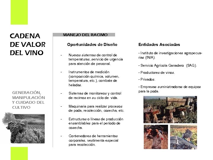CADENA DE VALOR DEL VINO MANEJO DEL RACIMO Oportunidades de Diseño - - GENERACIÓN,