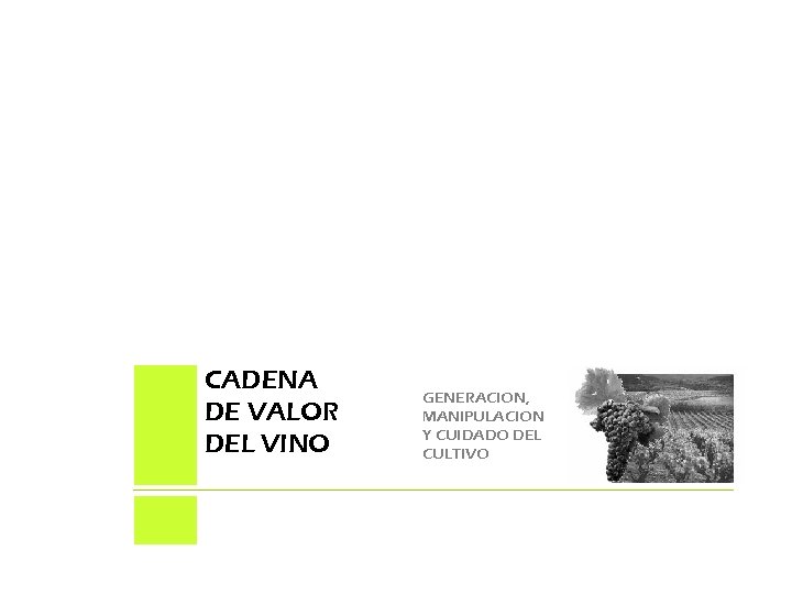 CADENA DE VALOR DEL VINO GENERACION, MANIPULACION Y CUIDADO DEL CULTIVO 