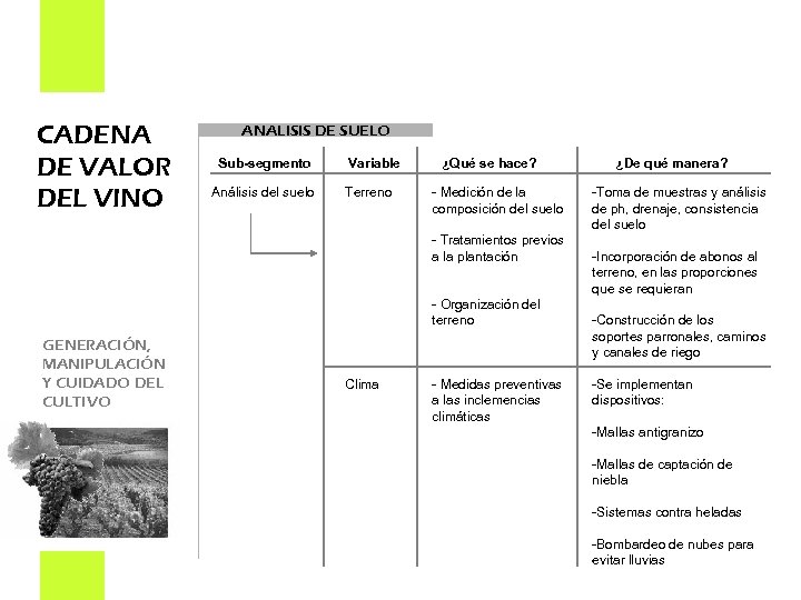 CADENA DE VALOR DEL VINO ANALISIS DE SUELO Sub-segmento Análisis del suelo Variable Terreno