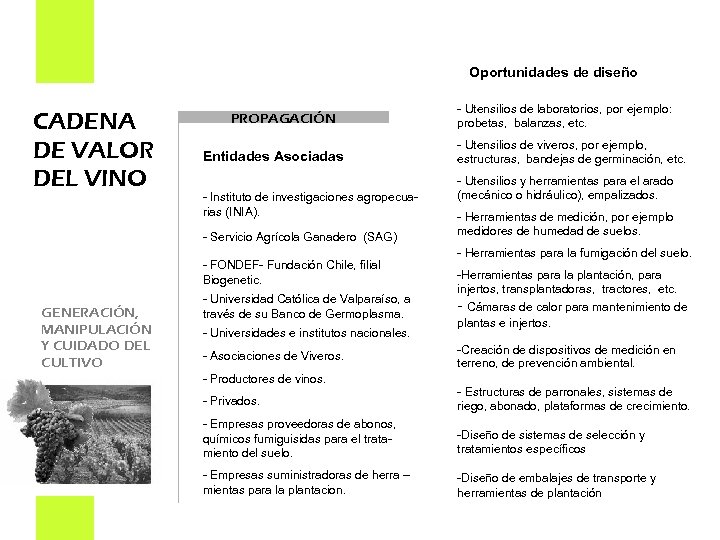 Oportunidades de diseño CADENA DE VALOR DEL VINO PROPAGACIÓN Entidades Asociadas - Instituto de