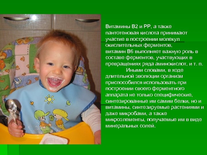 Витамины В 2 и РР, а также пантотеновая кислота принимают участие в построении молекул