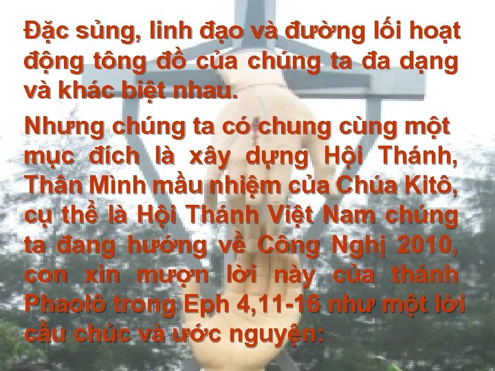 Đặc sủng, linh đạo và đường lối hoạt động tông đồ của chúng ta