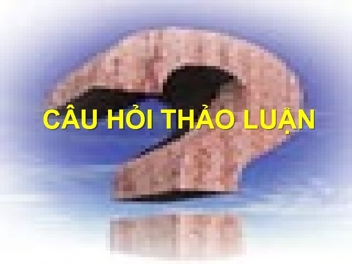 C U HỎI THẢO LUẬN 
