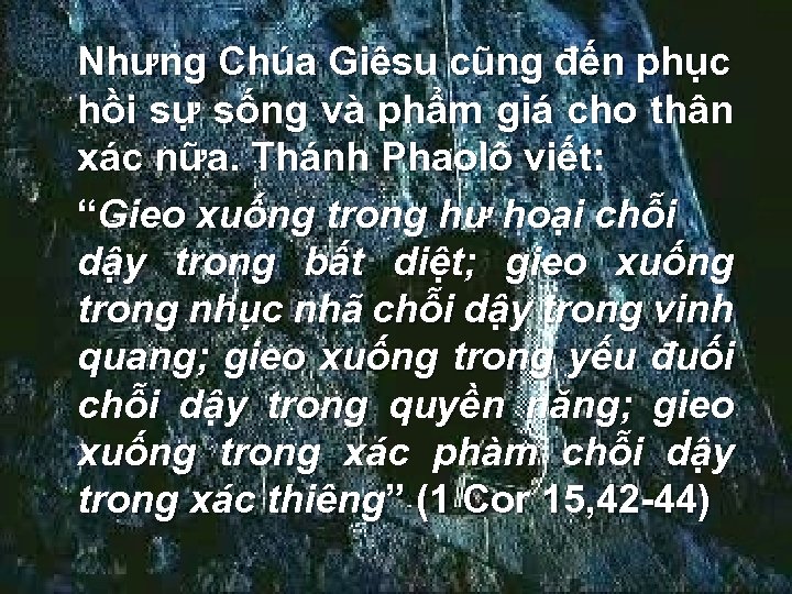 Nhưng Chúa Giêsu cũng đến phục hồi sự sống và phẩm giá cho thân