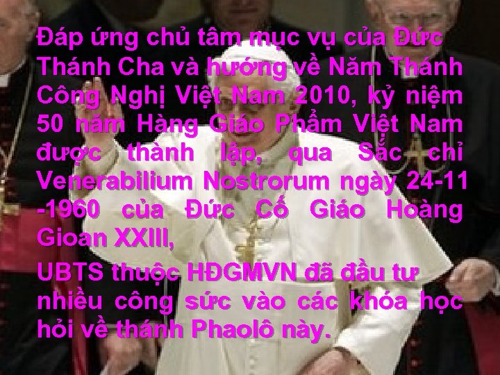 Đáp ứng chủ tâm mục vụ của Đức Thánh Cha và hướng về Năm