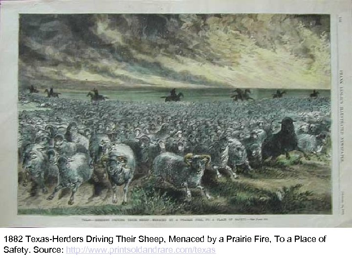 1882 Texas-Herders Driving Their Sheep, Menaced by a Prairie Fire, To a Place of