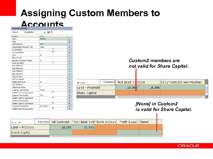 Assigning Custom Members to Accounts Custom 2 members are not valid for Share Capital.