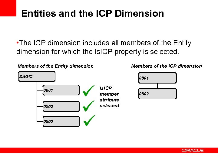 Entities and the ICP Dimension • The ICP dimension includes all members of the